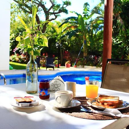 Green Oasis Home Boutique Playa del Carmen Eksteriør bilde