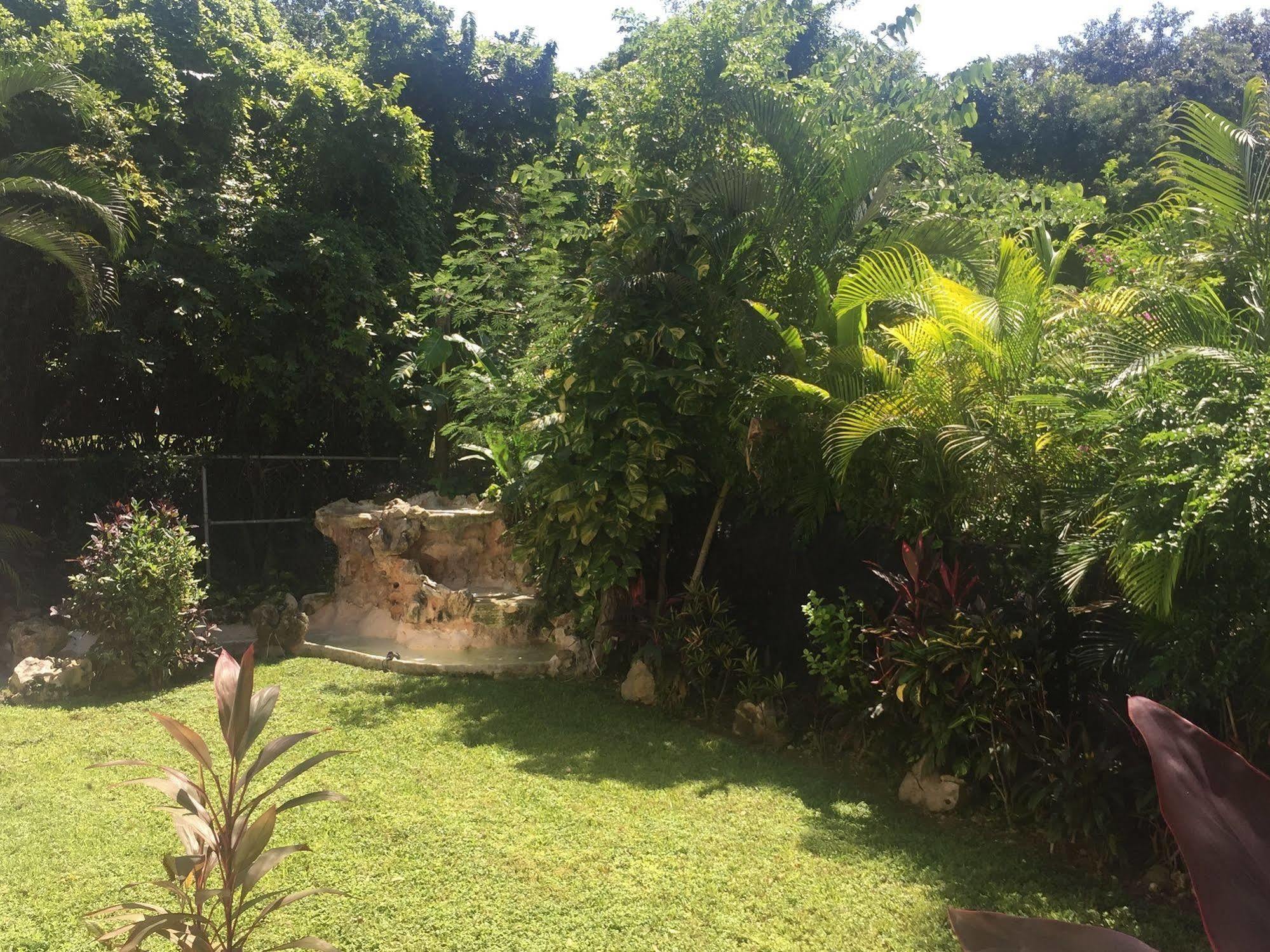 Green Oasis Home Boutique Playa del Carmen Eksteriør bilde