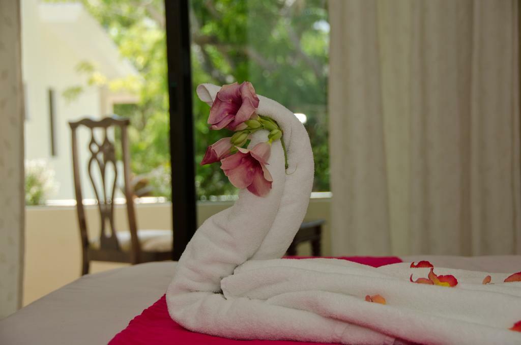 Green Oasis Home Boutique Playa del Carmen Eksteriør bilde